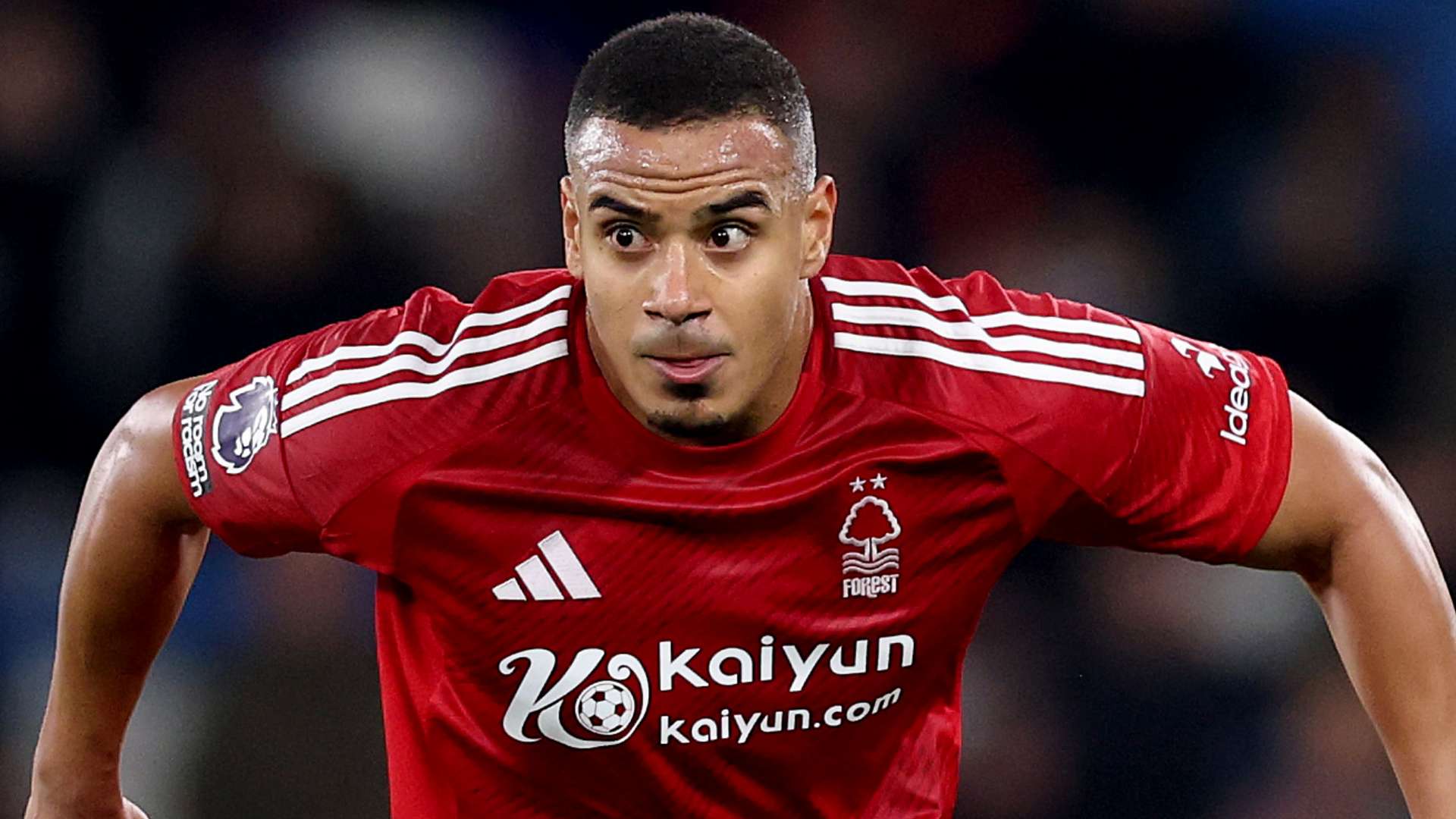 的三分球命 的三分球命